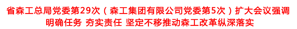 頭題模板1.jpg