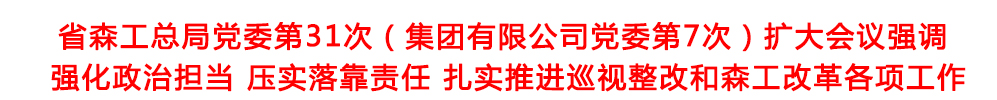 頭題模板1.jpg