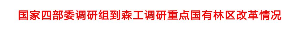 頭題模板1.jpg